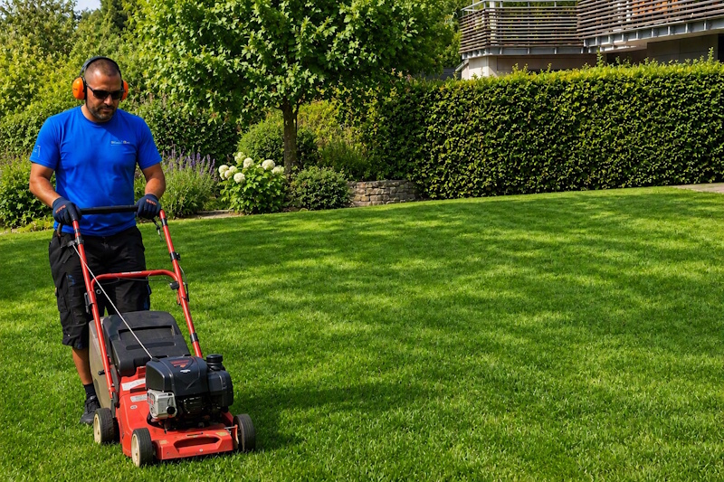 ALB24 Hauswart im blauen Arbeitsshirt mit Gehörschutz mäht mit einem roten Rasenmäher den gepflegten Rasen einer Wohnliegenschaft vor einer Hecke