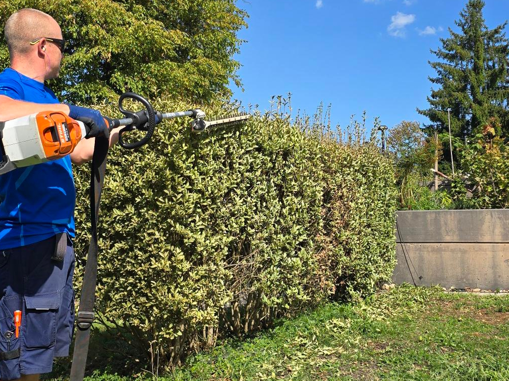 Mitarbeiter der ALB24 GmbH schneidet eine Hecke mit der Motorheckenschere