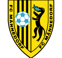 Wappen des FC Männedorf